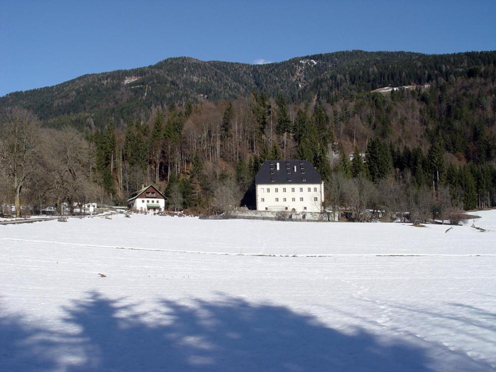 Schloss Manndorf Gaestehaus Apartment Kotschach-Mauthen